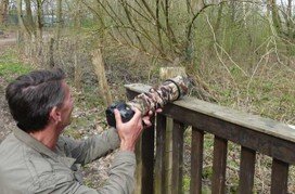 Beim fotografieren von wildlebenden Vögeln